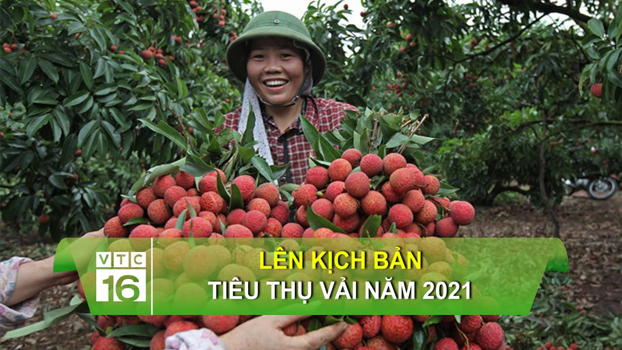 Thống kê giúp CLB Công an Hà Nội tự tin trước trận tái đấu đội Thái Lan