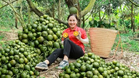 Ngành Quản trị Kinh doanh trường Đại học CMC: Nơi đào tạo 'doanh nhân số'