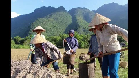 Tiền đạo Brazil lập công, áp sát vị trí số 1 của Tiến Linh